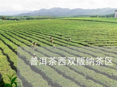 普洱茶西双版纳茶区/2023070931725