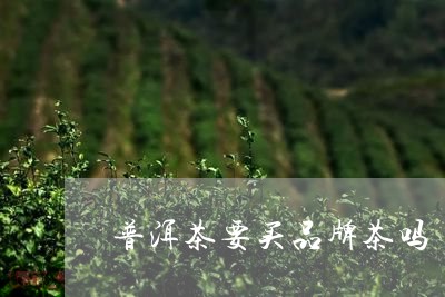 普洱茶要买品牌茶吗/2023070949483