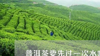 普洱茶要先过一次水吗/2023072229370