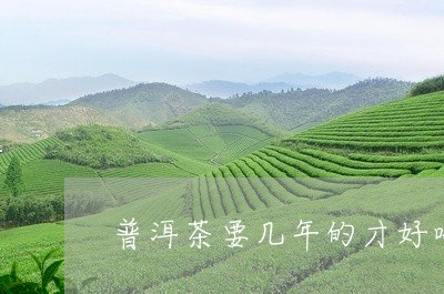 普洱茶要几年的才好喝/2023061890403