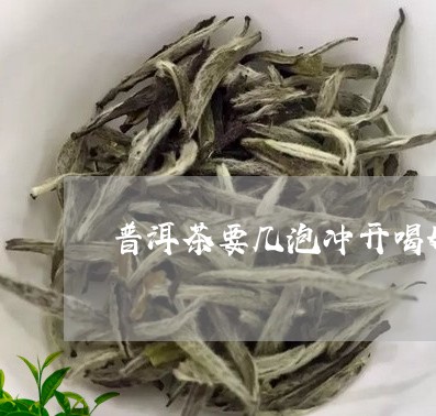 普洱茶要几泡冲开喝好喝/2023082572837