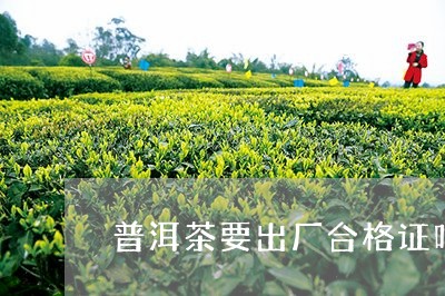 普洱茶要出厂合格证吗/2023093005947