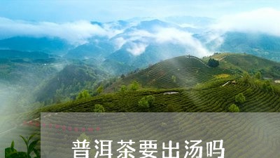 普洱茶要出汤吗/2023102604137