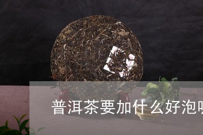 普洱茶要加什么好泡呢视频/2023082792813