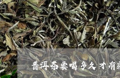 普洱茶要喝多久才有效/2023092975048