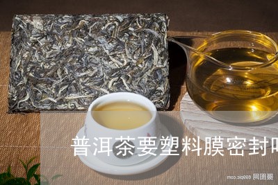 普洱茶要塑料膜密封吗/2023062040583