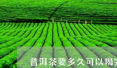 普洱茶要多久可以喝完/2023100888591