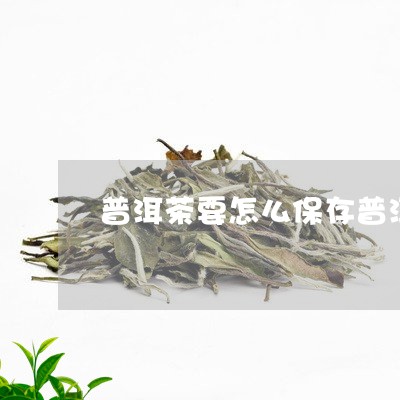 普洱茶要怎么保存普洱茶熟茶保存/2023060330604