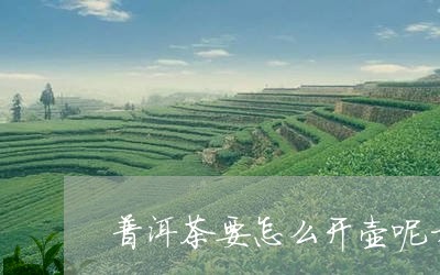 普洱茶要怎么开壶呢才好喝/2023082845169