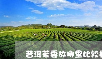 普洱茶要放哪里比较好/2023072318481