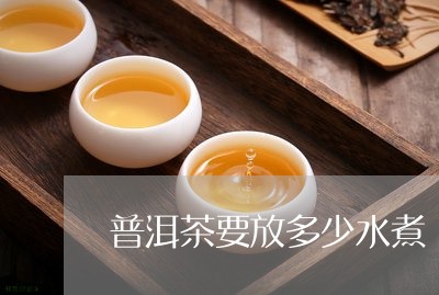 普洱茶要放多少水煮/2023120569382