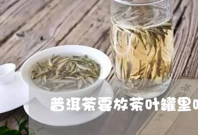 普洱茶要放茶叶罐里吗/2023061569593