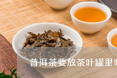 普洱茶要放茶叶罐里吗/2023092617369