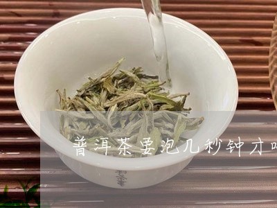 普洱茶要泡几秒钟才喝好/2023121788259