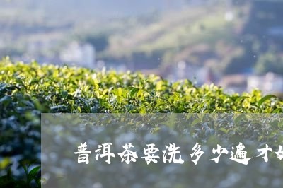 普洱茶要洗多少遍才好喝/2023050546247