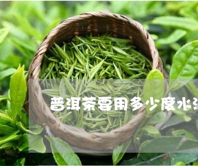 普洱茶要用多少度水泡/2023062462816