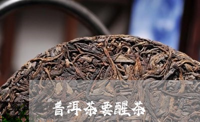 普洱茶要醒茶/2023042878531