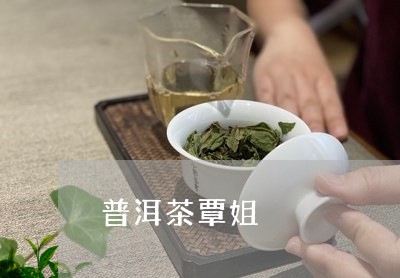 普洱茶覃姐/2023102534161