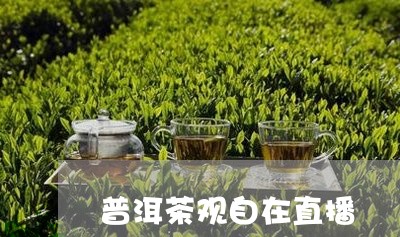 普洱茶观自在直播/2023101664847