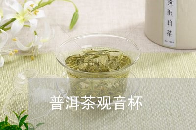 普洱茶观音杯/2023112669382