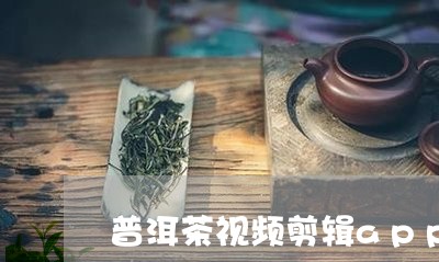 普洱茶视频剪辑app/2023062437470