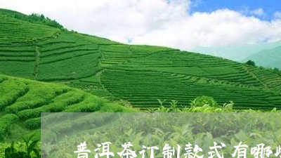 普洱茶订制款式有哪些图片/2023083081426