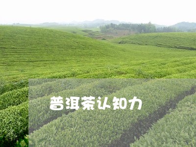 普洱茶认知力/2023101674959