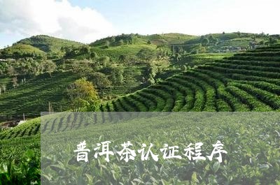 普洱茶认证程序/2023110333614