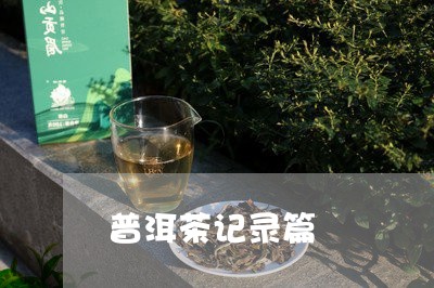 普洱茶记录篇/2023042804177