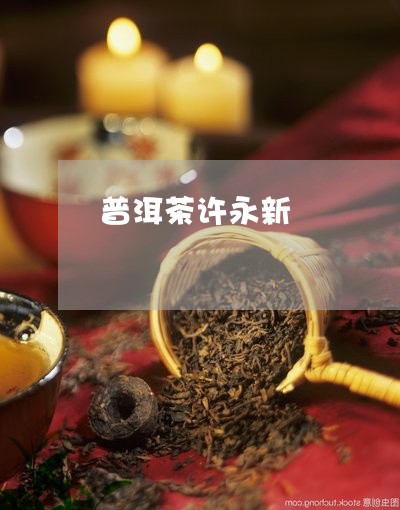 普洱茶许永新/2023081592608