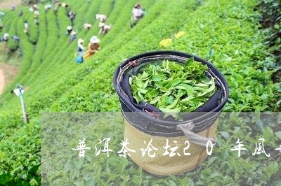 普洱茶论坛20年风华/2023100696959