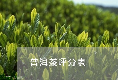 普洱茶评分表/2023042740187