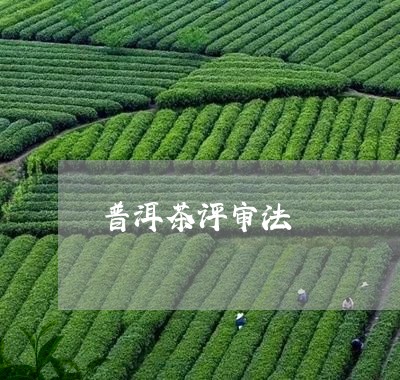 普洱茶评审法/2023042759560