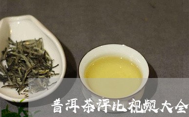 普洱茶评比视频大全/2023121796150