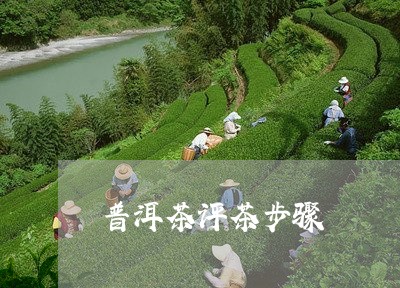 普洱茶评茶步骤/2023112695048