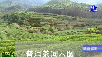 普洱茶词云图/2023042746893