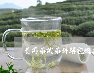 普洱茶试茶讲解视频大全/2023110797460