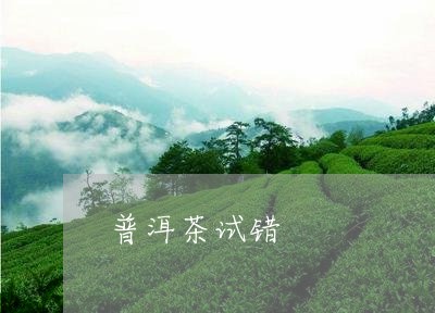 普洱茶试错/2023112686269