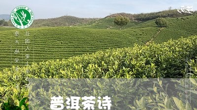 普洱茶诗/2023083158502