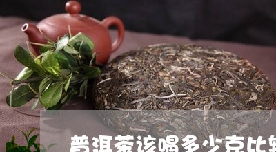 普洱茶该喝多少克比较好/2023050435837