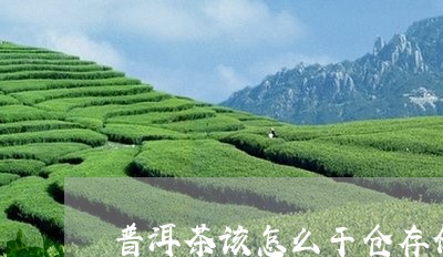 普洱茶该怎么干仓存储/2023092836168