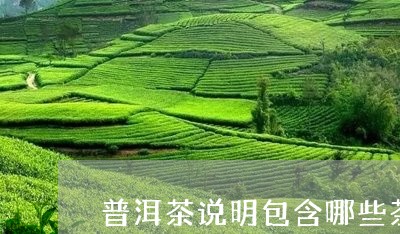 普洱茶说明包含哪些茶叶/2023121728171