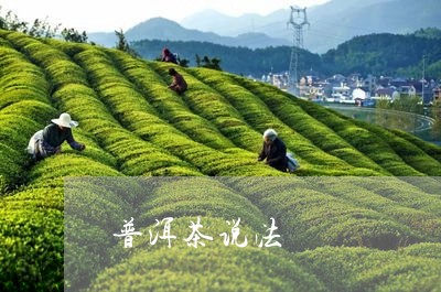 普洱茶说法/2023090596939