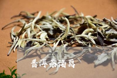 普洱茶诸葛/2023090679581