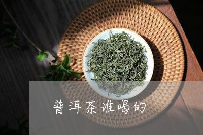 普洱茶谁喝的/2023102511581