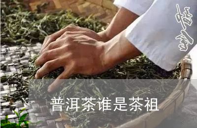 普洱茶谁是茶祖/2023112697270