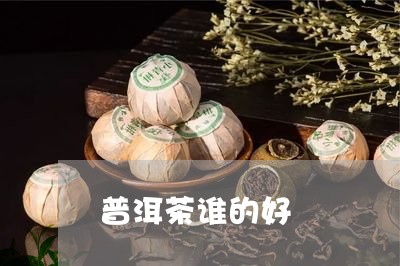 普洱茶谁的好/2023042926168