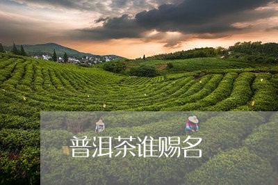 普洱茶谁赐名/2023042508970