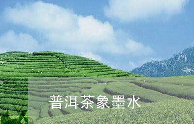 普洱茶象墨水/2023042789288