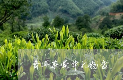 普洱茶豪华礼物盒/2023120496947